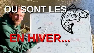 Miniature : COMMENT trouver les carpes en HIVER ?