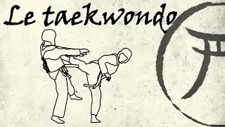 Miniature : 9eme kyu: le taekwondo
