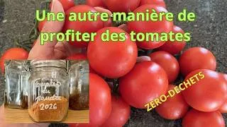 Miniature : Poudre de tomates une découverte zéro déchets