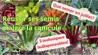 Miniature : Réussir ses semis en juillet malgré la canicule