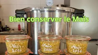 Miniature : Bien conserver le Maïs