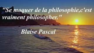 Miniature : 5 Citations célèbres et intéressantes de grands philosophes.