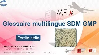 Miniature : Glossaire multilingue SDM GMP: Ferrite delta, Delta ferrite, Ferrita delta, Delta-Ferrit.