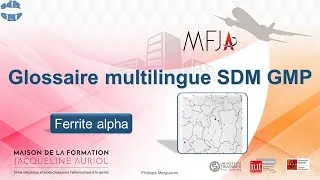 Miniature : Glossaire multilingue SDM GMP: Ferrite alpha, Alpha ferrite, Ferrita alfa, Alpha-Ferrit.