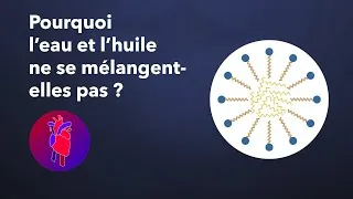 Miniature : Comment fonctionnent les savons ? (Ft Cécile Gouzon)