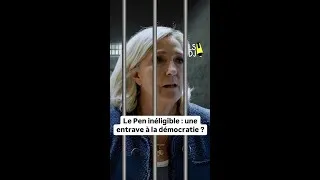 Miniature : Pourquoi l’INÉLIGIBILITÉ pose problème en DÉMOCRATIE 
