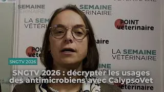Miniature : SNGTV 2026 : décrypter les usages des antimicrobiens avec CalypsoVet