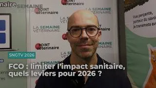 Miniature : FCO : limiter l’impact sanitaire, quels leviers pour 2026 ?