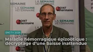 Miniature : Maladie hémorragique épizootique : décryptage d’une baisse inattendue