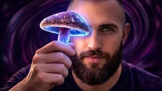 Miniature : Psychédéliques : ce qu’ils m’ont révélé sur la vraie nature de la conscience