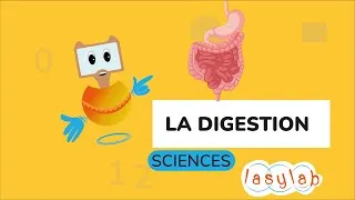 Miniature : COMPRENDRE LA DIGESTION - LASYLAB