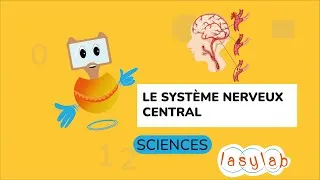 Miniature : COMPRENDRE LE FONCTIONNEMENT DU SYSTÈME NERVEUX CENTRAL: lASYLAB