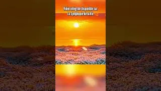Miniature : Le coucher du soleil est orange parce que :