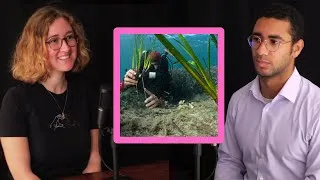 Miniature : Salomé Coquin : Les herbiers méditerranéens et leurs moyens de communication invisibles | LTI #19