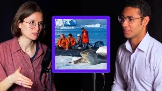 Miniature : Adélie Antoine : Quand les phoques racontent l’histoire de la banquise | LTI #13
