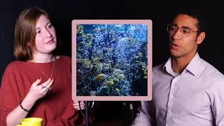 Miniature : Pauline Crétin : Comment les bactéries marines transforment l’océan | LTI #12