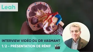 Miniature : Le réseau Rénif et la néphroprotection par le Dr Daniel Vasmant