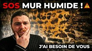 Miniature : SOS : Ce mur humide va tout gâcher... J'ai besoin de vous ! ⚠️