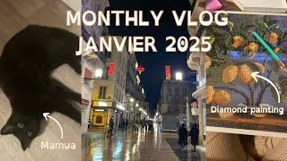 Miniature : LUNETTE, ACCIDENT ET MENAGE | MONTHLY VLOG JANVIER 2025