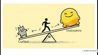 Miniature : 10 000 pas par jour : les effets incroyables sur votre corps !