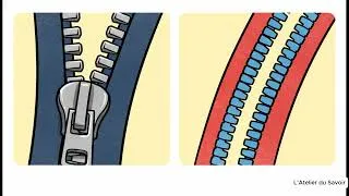 Miniature : Pourquoi ces 3 lettres sur mes fermetures ? || Why are these 3 letters on my zippers?