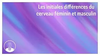 Miniature : Les initiales différences du cerveau féminin et masculin (épisode #352) - La Tête Dans Le Cerveau
