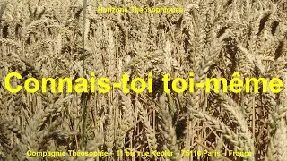 Miniature : « Connais-toi toi-même »