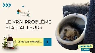 Miniature : 🐶 Complexe Confort Urinaire Animaux Vie et Santé, mon avis après 1 mois avec mon #spitz #pomeranian