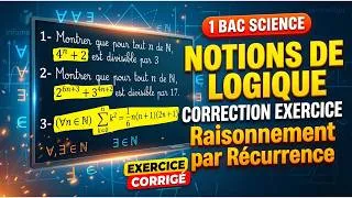 Miniature : Notions de logique - Raisonnement par récurrence (Exercice Corrigé) 📝