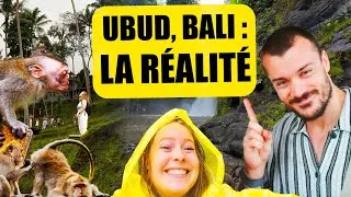 Miniature : BALI: Une Journée « Parfaite » à Ubud (Endroits À Voir et À Éviter) 🥶🤩