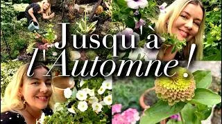 Miniature : DES FLEURS JUSQU'À L' AUTOMNE🌸 POT D'ÉTÉ ET DERNIERS ACHATS!