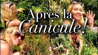 Miniature : 🌸JARDIN APRÈS LA CANICULE: COMMENT AVOIR DES FLEURS TOUT L'ÉTÉ!