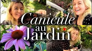 Miniature : 🔥CANICULE: COMMENT GARDER UN BEAU JARDIN TOUT L'ÉTÉ?