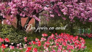 Miniature : Le printemps à Paris, escapade bretonne & aquarelle 🌷🌊🌸