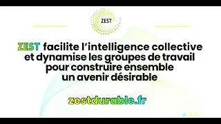 Miniature : ZEST 1