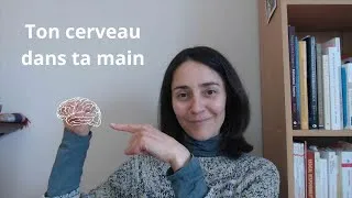 Miniature : Visualise comment la méditation renforce ton cerveau face au stress
