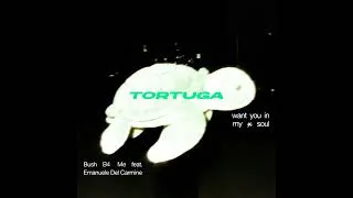 Miniature : Bush B4 Me, Emanuele Del Carmine - Want You In My Soul