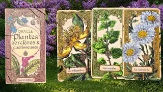 Miniature : 🌾🌱 Oracle Plantes sorcières & guérisseuses & Tirage des éditions @secretdetoileseditions8382 🌾🌱