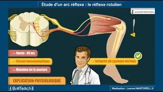 Miniature : ✅ Tout savoir et comprendre sur le réflexe rotulien! ⏱️🧠