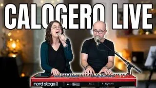 Miniature : Calogero — Compilation Live : En apesanteur, Le Portrait & plus