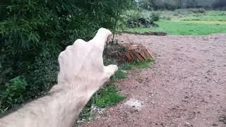 Miniature : L'AUTONOMIE: du TEMPS et de L'ARGENT 😉 explications de ma stratégie 2025. 😁