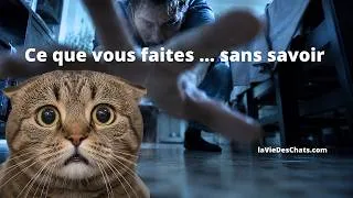 Miniature : VOUS FAITES CES 3 GESTES ? CE QUE VOTRE CHAT RESSENT