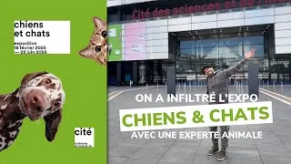 Miniature : On a infiltré l'expo "Chiens et Chats" avec une experte animale
