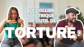 Miniature : Le collier électrique: un outil de torture ?