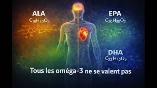 Miniature : Tous savoir sur les omega 3 et leur complementation
