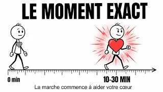 Miniature : Le moment précis où la marche commence à être bénéfique pour votre cœur (explications scientifiques)