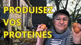 Miniature : Protéines maison : le plan B