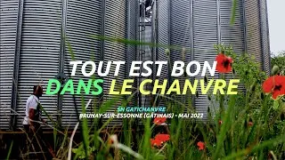 Miniature : Tout est bon dans le chanvre...
