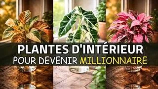 Miniature : 20 Plantes d'Intérieur Qui Vont Vous Rendre Millionnaire