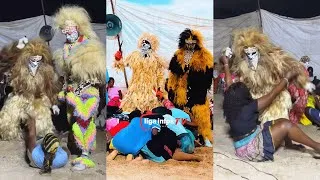 Miniature : 😱🔥Simba faux lion 🦁 Samba Sow et son groupe Regarde jusqu’à fin svp 😱🔥🔥